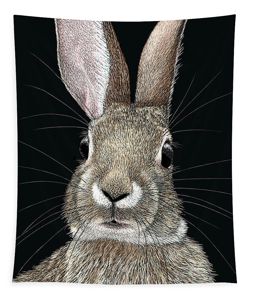 Rabbit Tapestry featuring the drawing Cottontail by Ann Ranlett