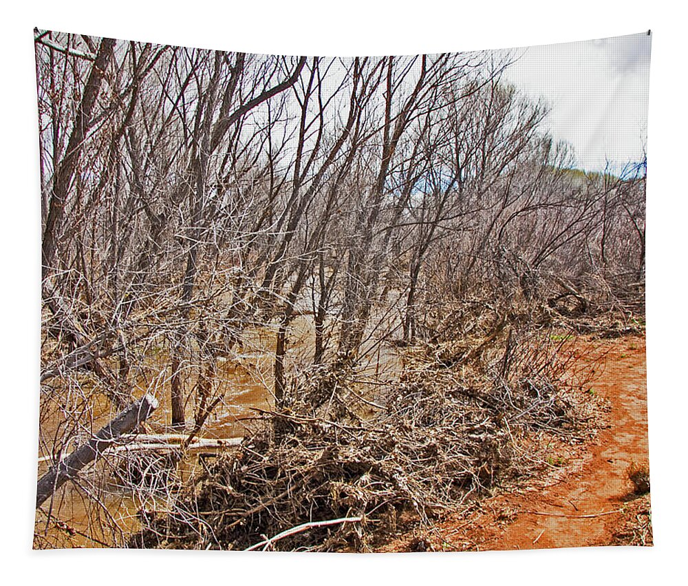 Cottonwood Az Bayou Leafless Trees Scrub Water Sand Clouds Tapestry featuring the photograph Cottonwood AZ bayou leafless trees scrub water sand clouds 3262019_5320 by David Frederick