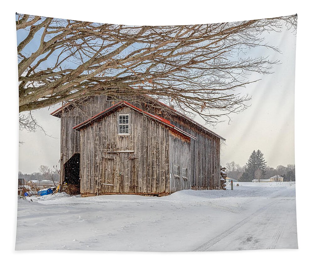 Barn Tapestry featuring the photograph Country Brown by Rod Best