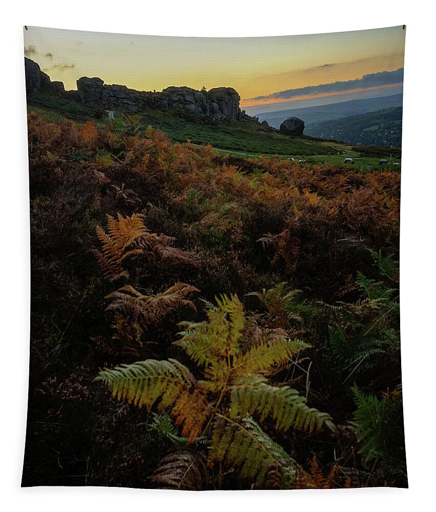 Cow And Calf Rocks Tapestry featuring the photograph Cow and Calf Rocks at dusk by Mariusz Talarek