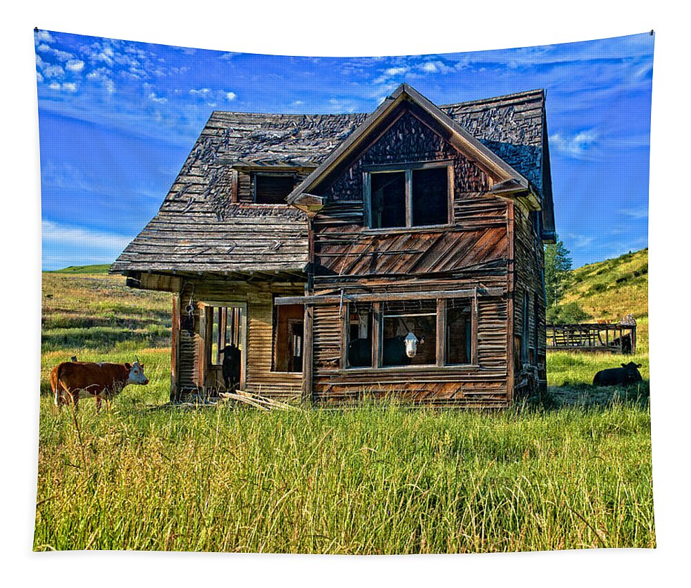 Cow Tapestry featuring the photograph Cow House by Ed Broberg