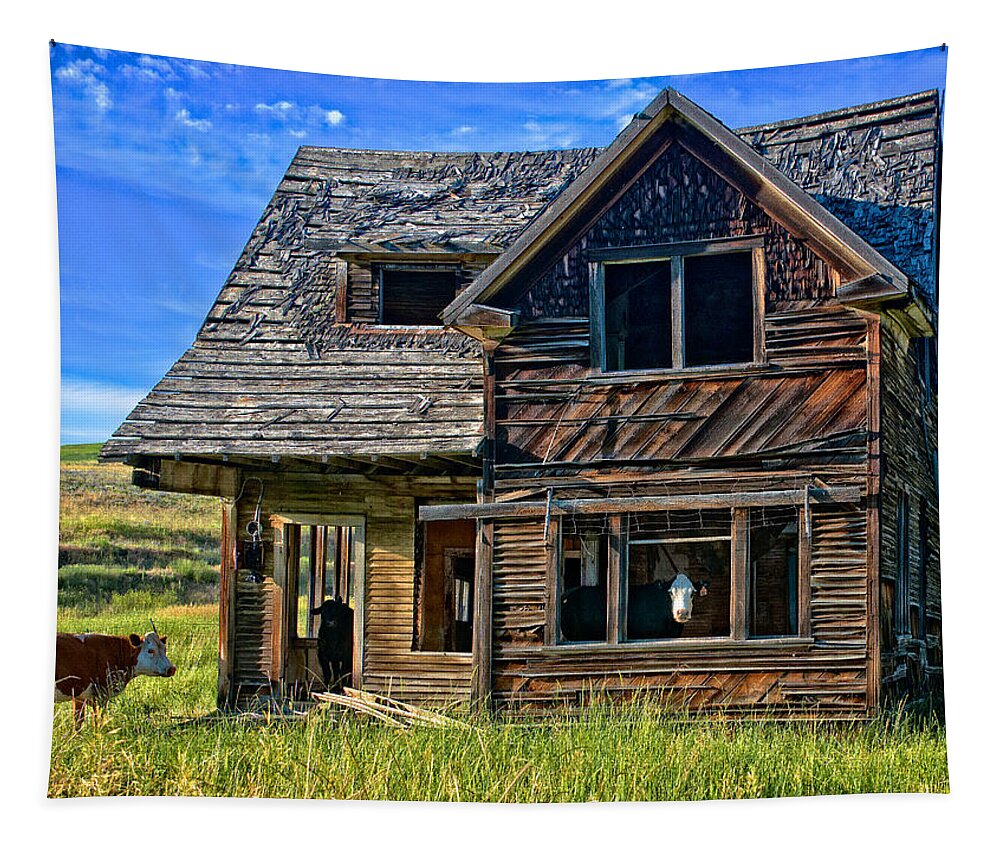 Cow Tapestry featuring the photograph Cow House2 by Ed Broberg