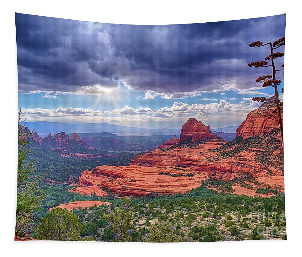 Cowpie Formation Tapestry featuring the photograph Cowpie Formation by Priscilla Burgers