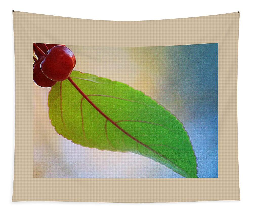 Art Tapestry featuring the photograph Crabapple Leaf by Joan Han