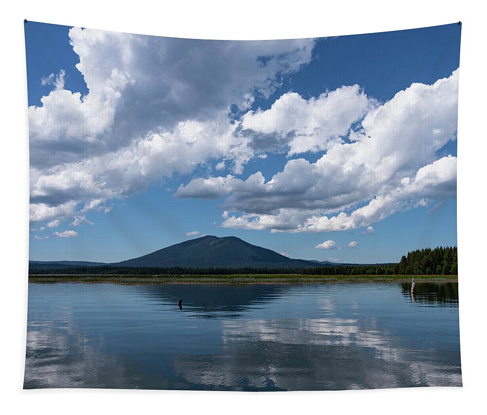 Oregon Tapestry featuring the photograph Crane Prairie Reflections by Steven Clark