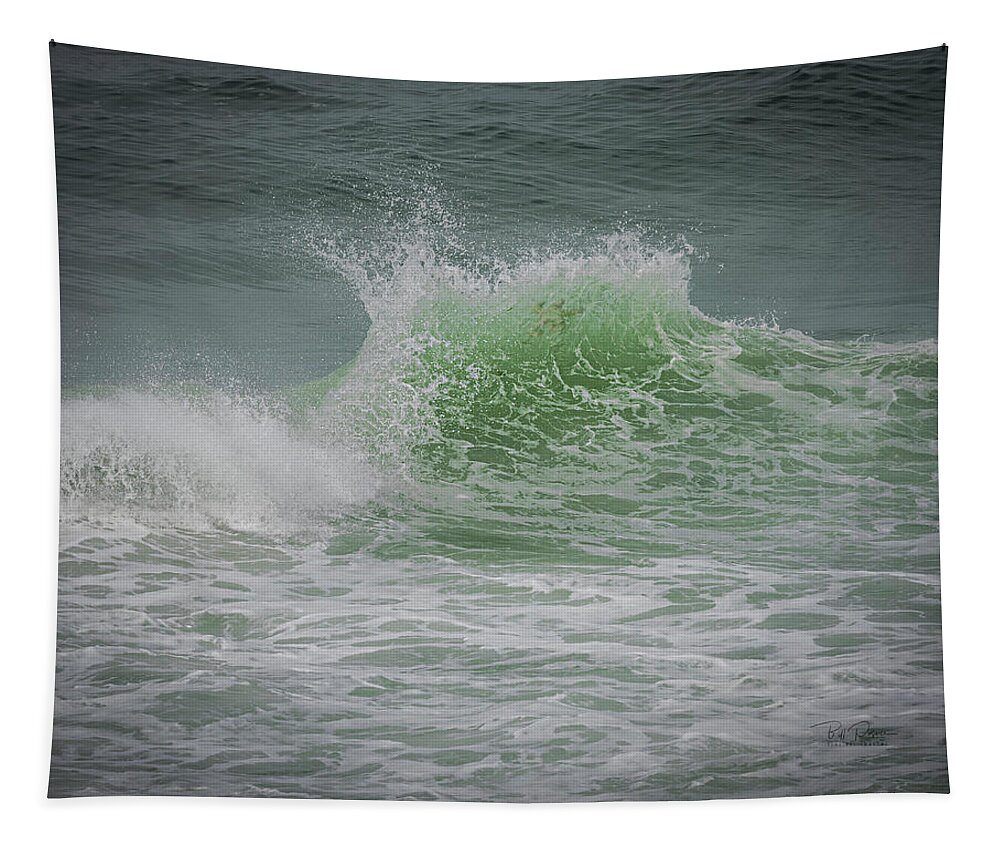 Waves Tapestry featuring the photograph Creatures Among us by Bill Posner