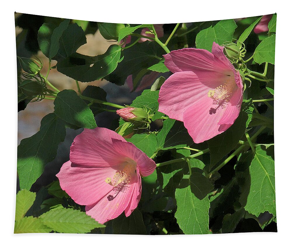Nature Tapestry featuring the photograph Crimson-eyed Rosemallows DSMF0110 by Gerry Gantt