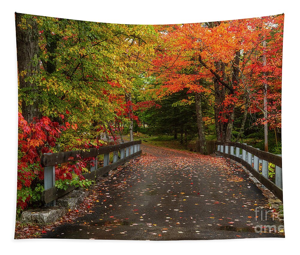 Autumn Tapestry featuring the photograph Cross the Bridge by Karin Pinkham