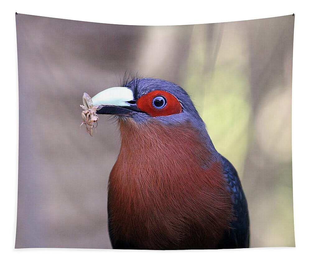 Jenniferrobin.gallery Tapestry featuring the photograph Cuckoo For Crickets by Jennifer Robin