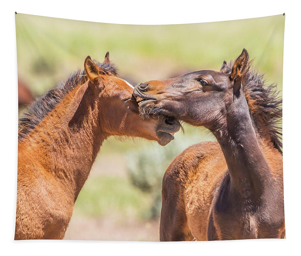 Nevada Tapestry featuring the photograph Cuddly Colts by Marc Crumpler