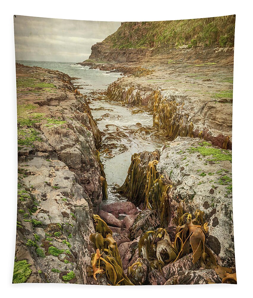 Joan Carroll Tapestry featuring the photograph Curio Bay New Zealand II by Joan Carroll