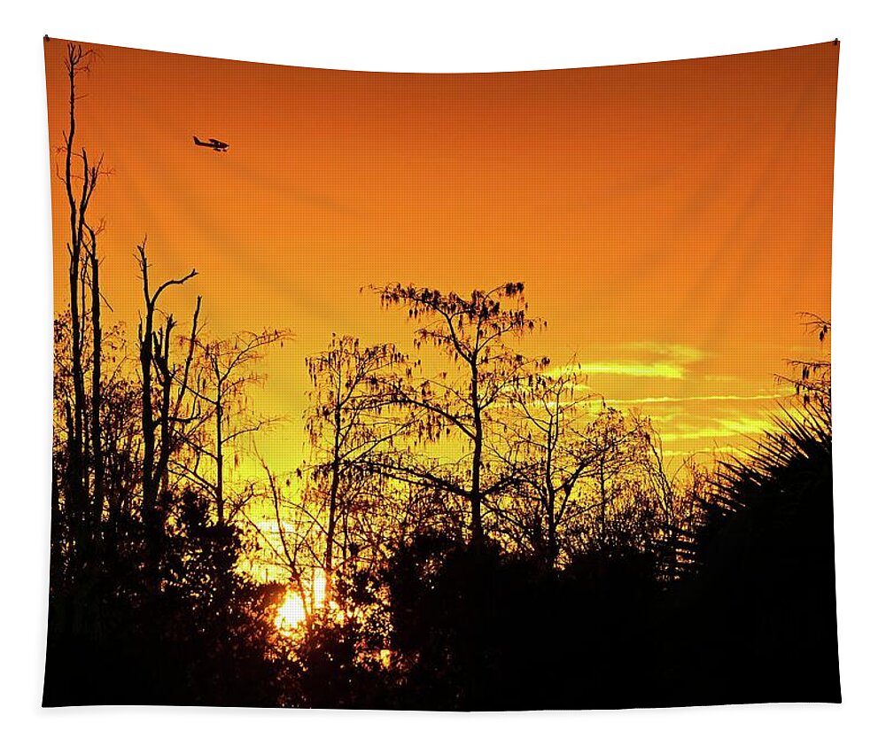 Airplane Tapestry featuring the photograph Cypress Swamp Sunset 3 by Steve DaPonte