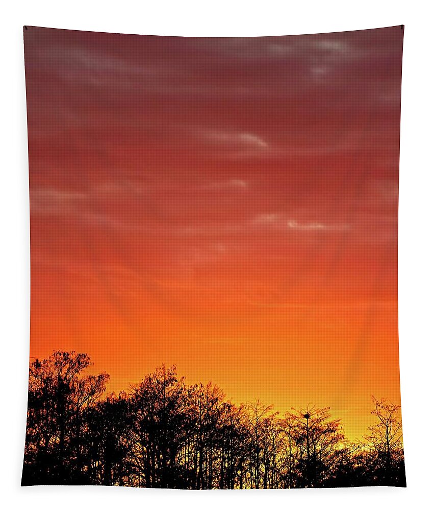 Swamp Tapestry featuring the photograph Cypress Swamp Sunset 4 by Steve DaPonte