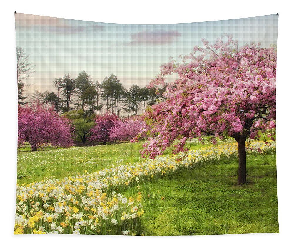 Daffodils Tapestry featuring the photograph Daffodil Heaven by Jessica Jenney