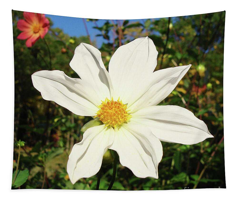 Dahlia Tapestry featuring the photograph Dahlia 17 by Amy E Fraser