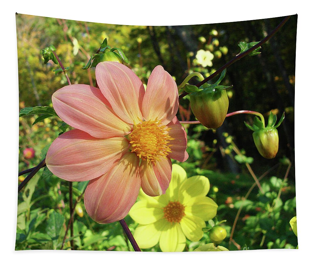 Dahlia Tapestry featuring the photograph Dahlia 5 by Amy E Fraser