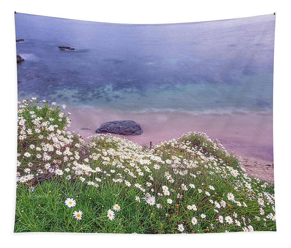 Daisy Tapestry featuring the photograph Dainty Daisies At The Cove by Joseph S Giacalone