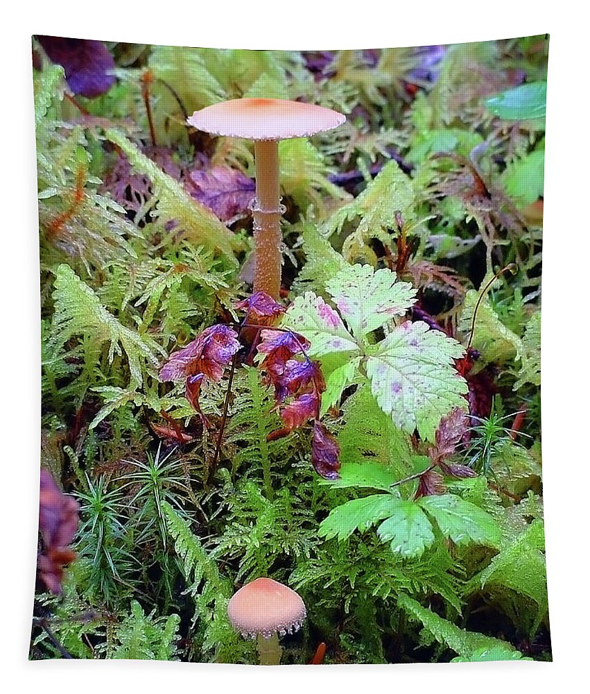 Close Up Tapestry featuring the photograph Dainty mushrooms dense moss by Robert C Paulson Jr