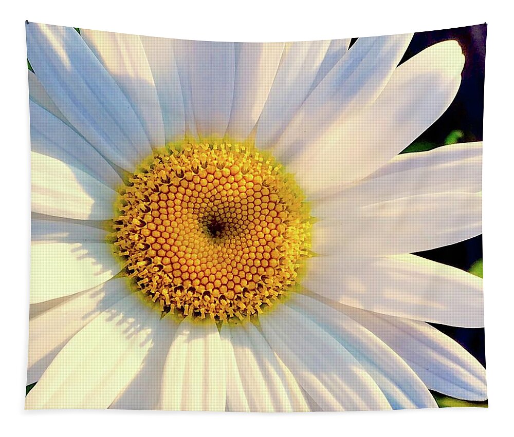 Flower Tapestry featuring the photograph Daisy by Alida M Haslett