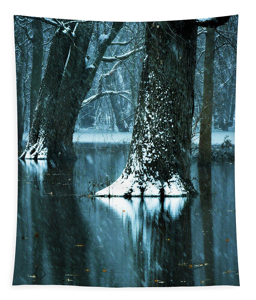 Water Tapestry featuring the photograph Dark Forest Reflections by Sandra J's