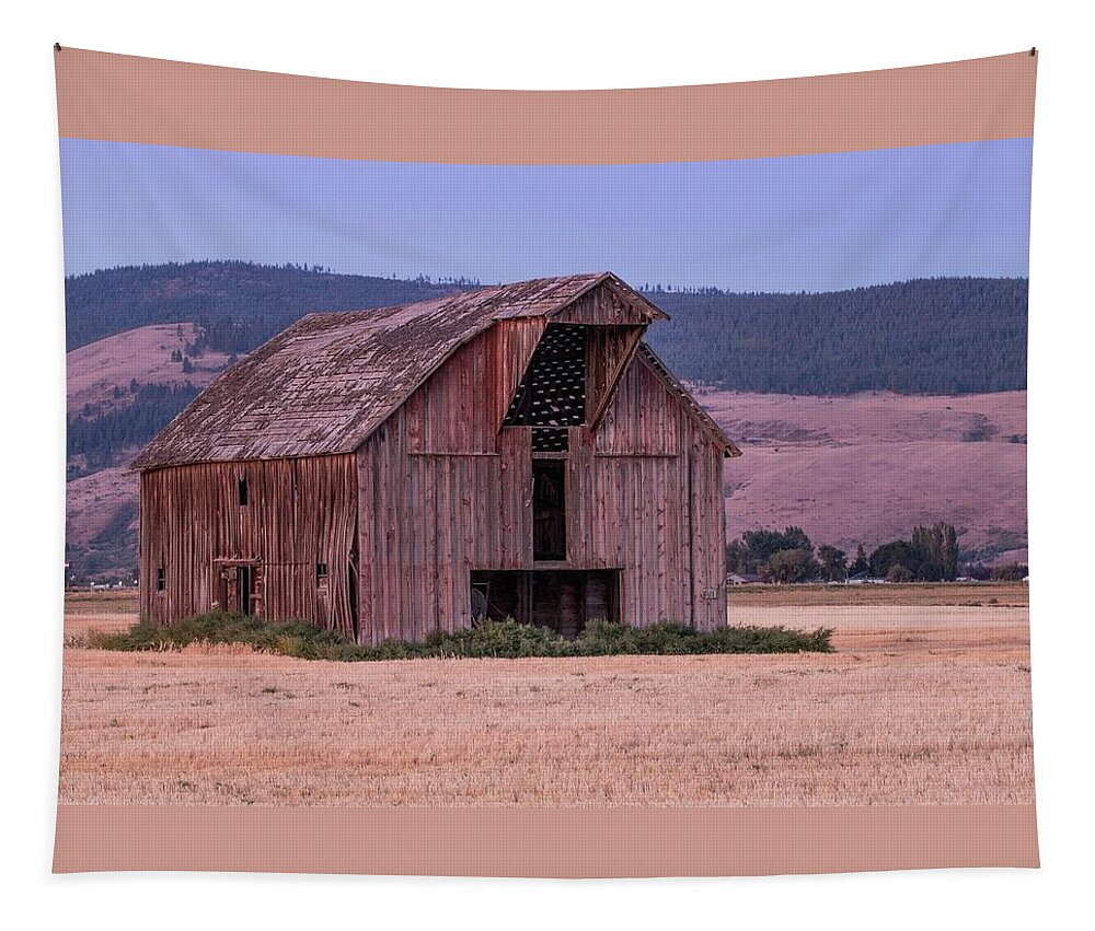 Weathered Barn Tapestry featuring the photograph Daylight through the Roof by E Faithe Lester