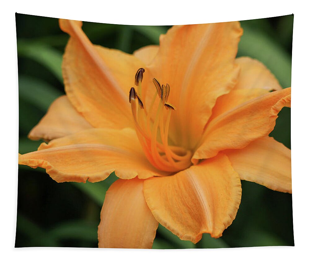 Daylily Tapestry featuring the photograph Daylily Delight by Mary Anne Delgado