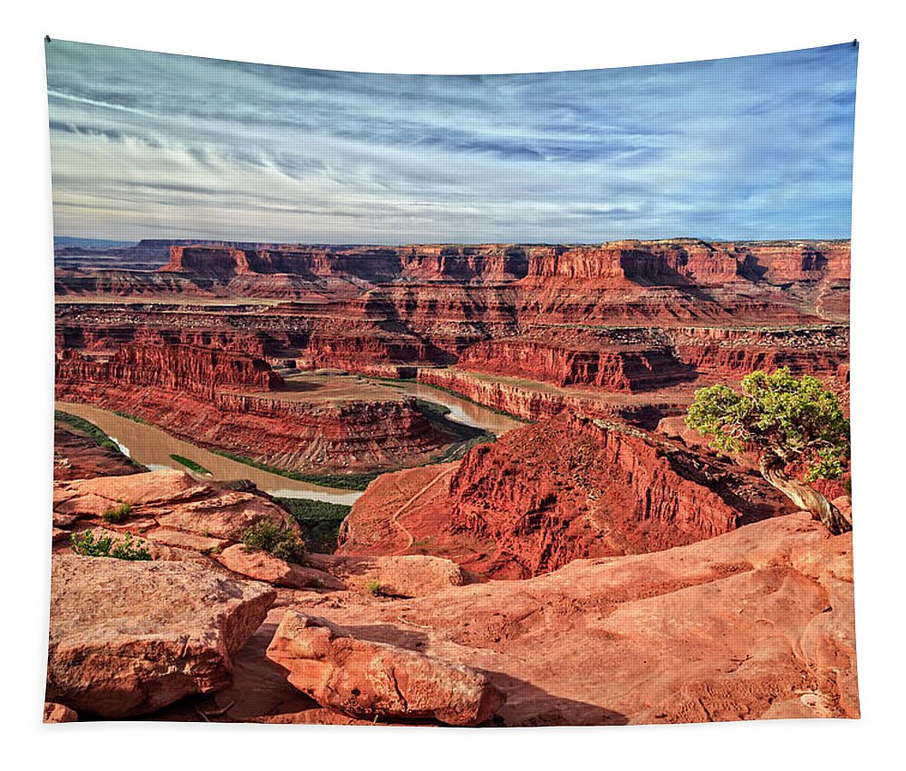 Dead Horse Point Tree Tapestry featuring the photograph Dead Horse Point Tree by Wes and Dotty Weber