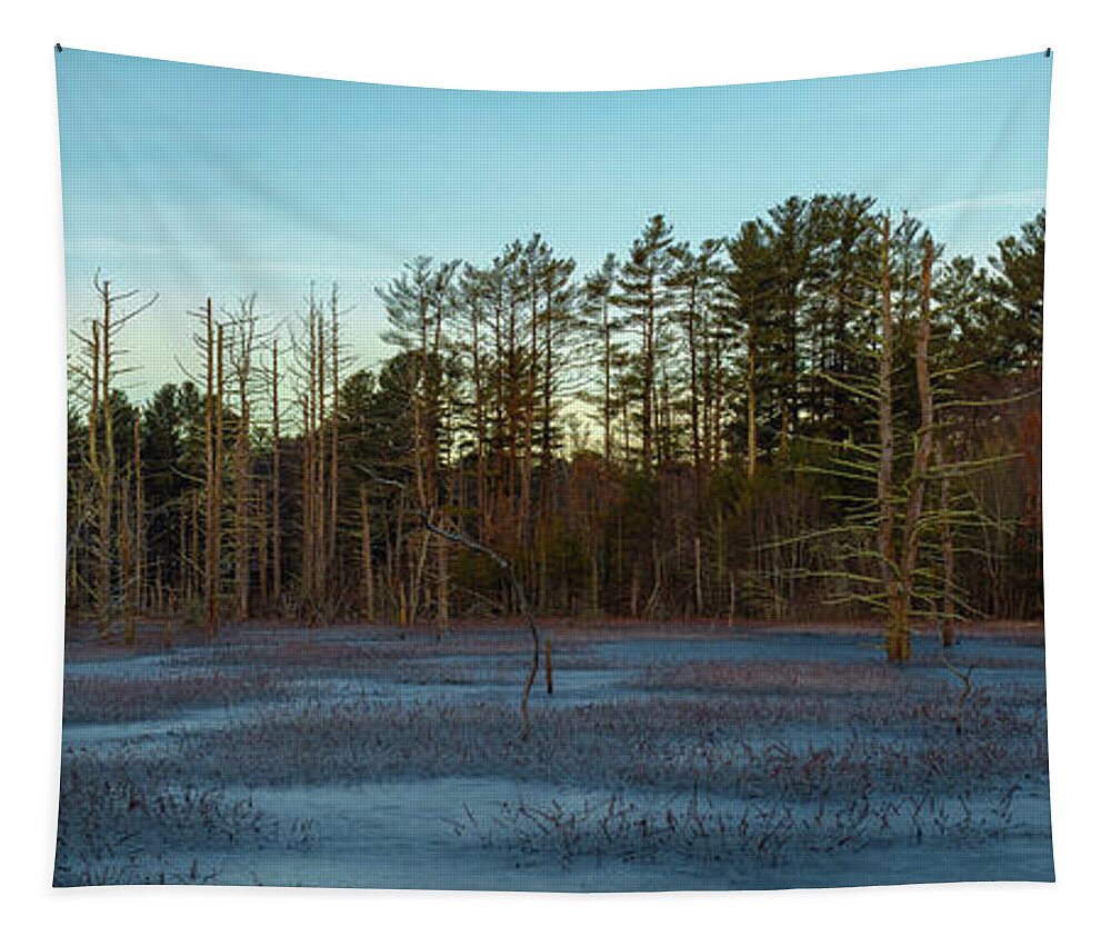 Winter Tapestry featuring the photograph Dead Zone Pano by William Bretton