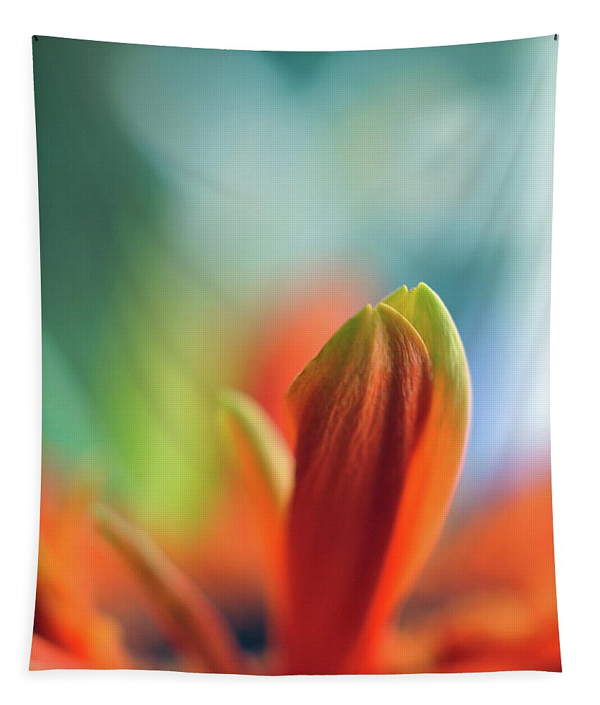 Orange Tapestry featuring the photograph Decision by Michelle Wermuth