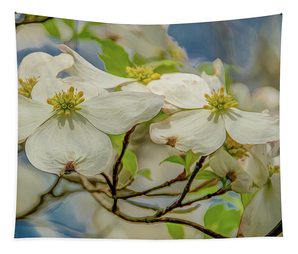 Dogwood Blossoms Tapestry featuring the photograph Delicate Dogwoods by Marcy Wielfaert