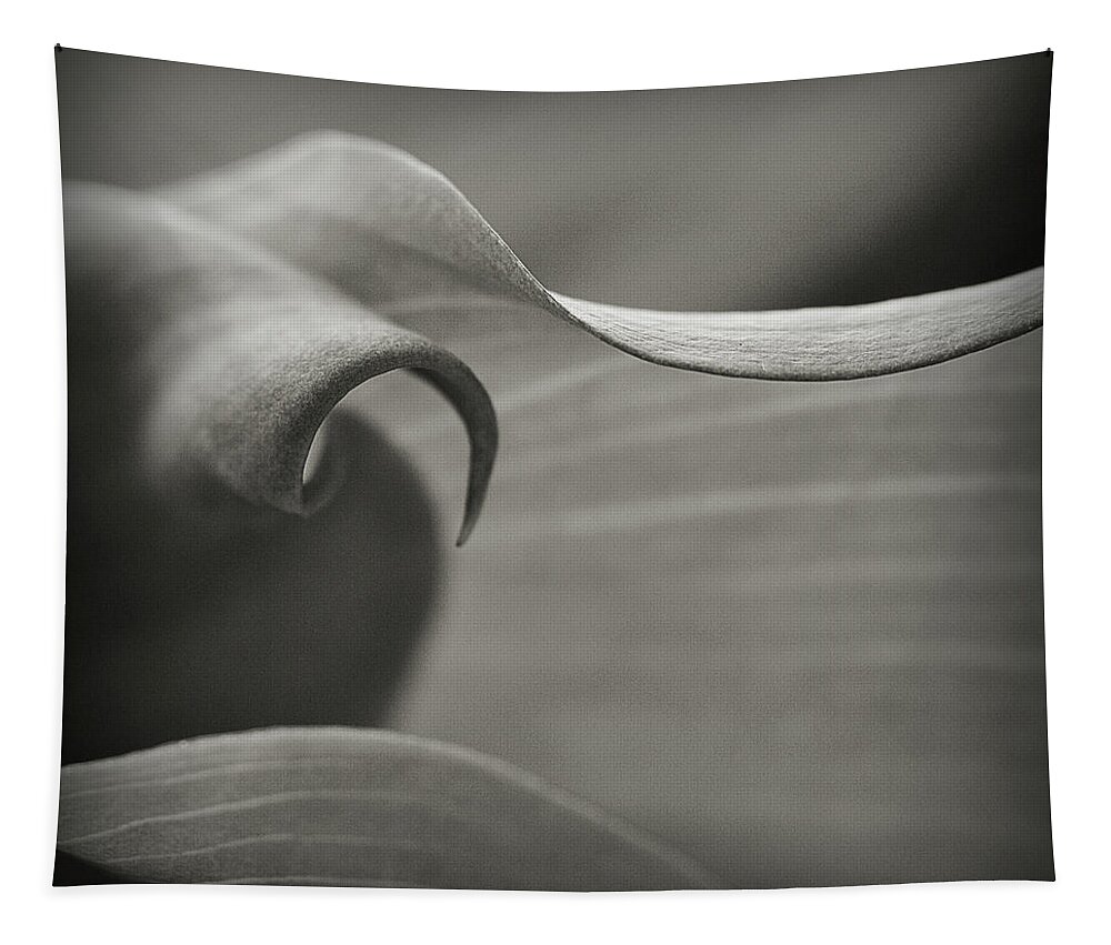 Calla Lily Tapestry featuring the photograph Delve Deeper by Michelle Wermuth