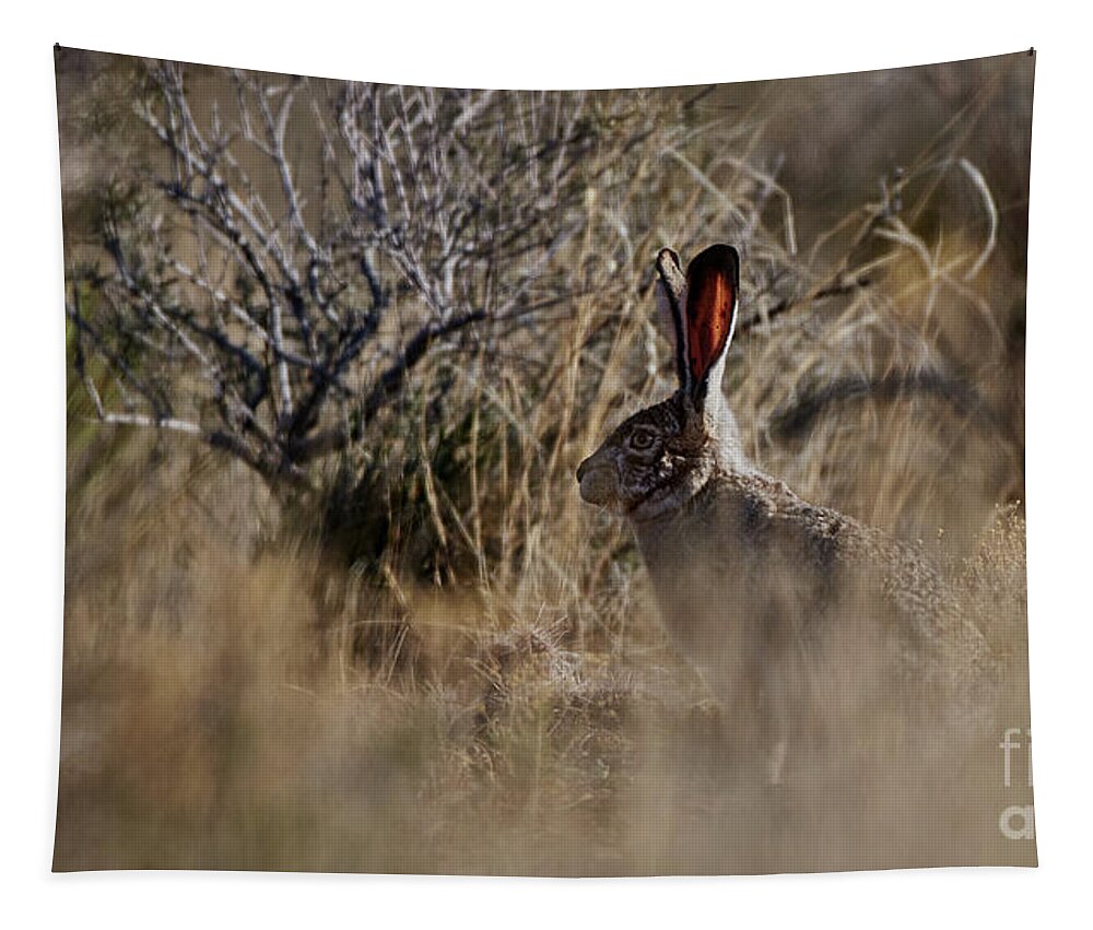 Desert Rabbit Tapestry featuring the photograph Desert Rabbit by Robert WK Clark