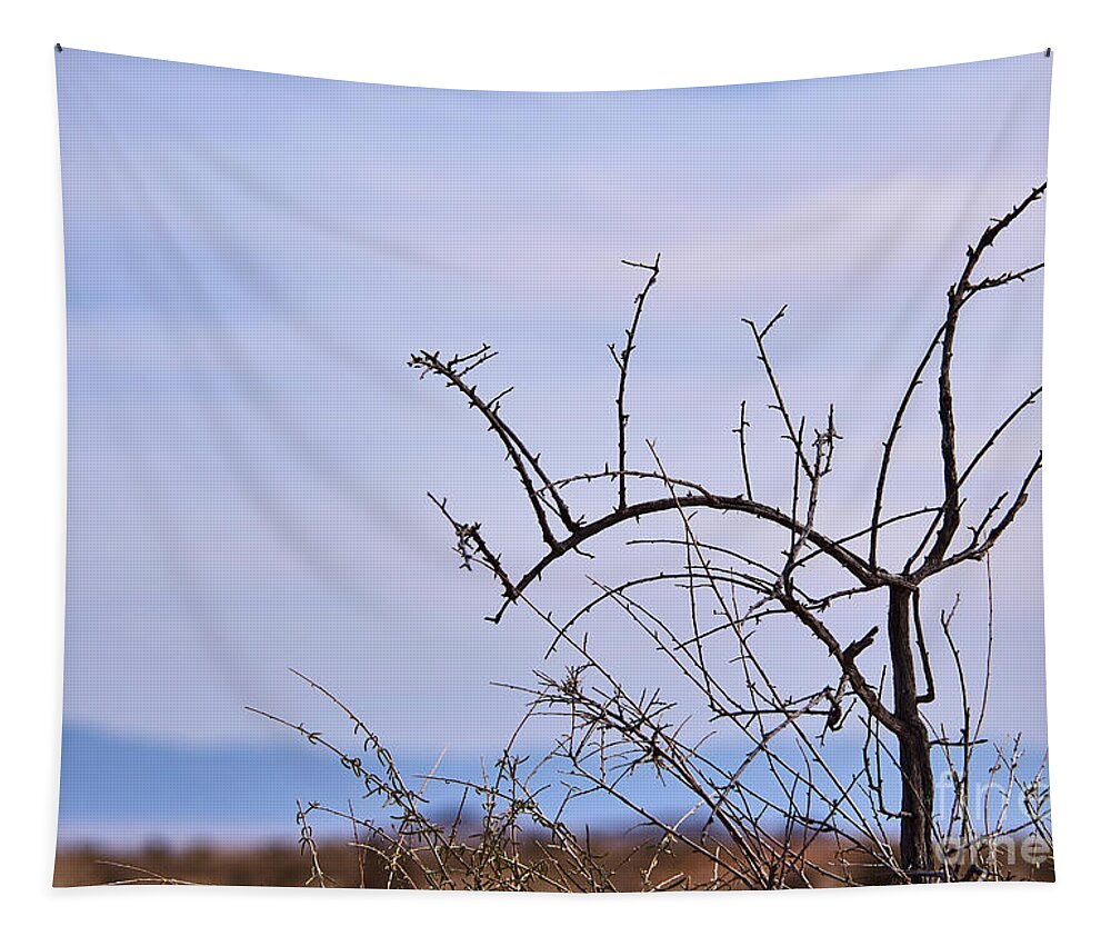 New Mexico Desert Tapestry featuring the photograph Desert Still Life by Robert WK Clark