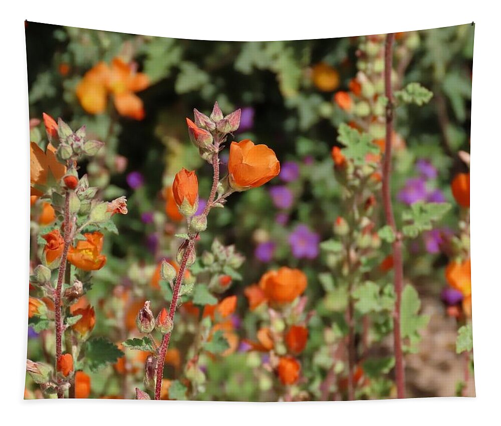 Arizona Tapestry featuring the photograph Desert Wildflowers by Judy Kennedy
