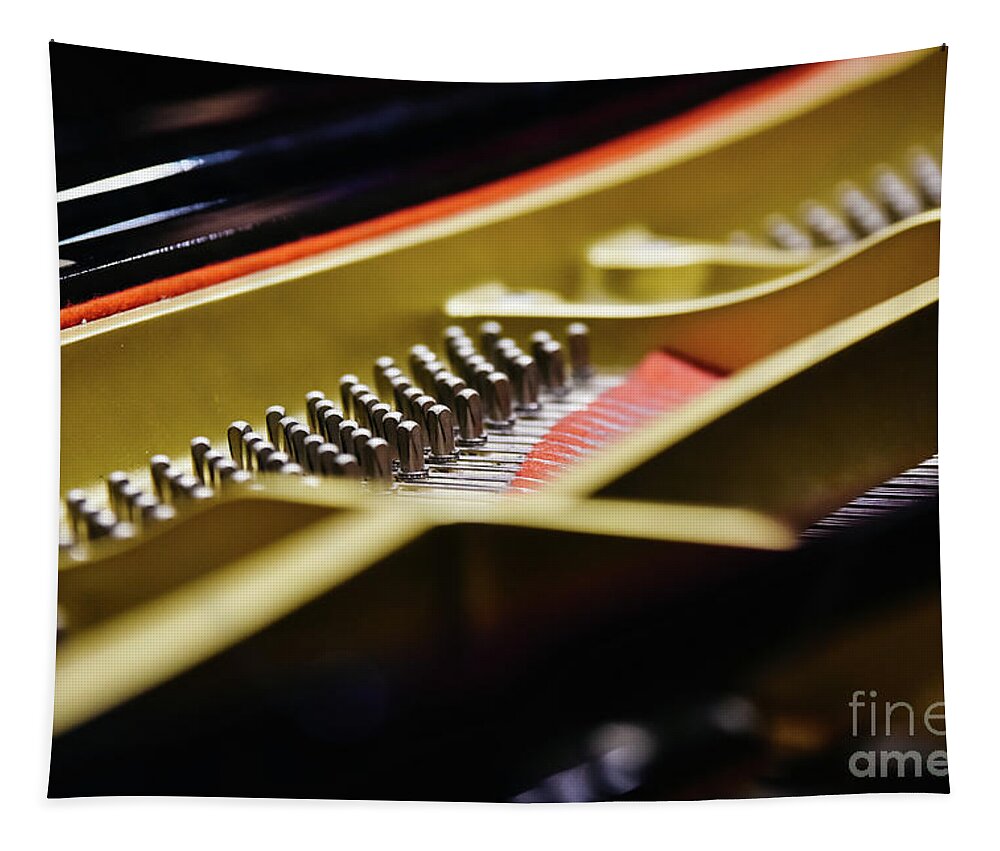 Abstract Tapestry featuring the photograph Detail of the interior of a piano with the soundboard, strings and pins. by Joaquin Corbalan