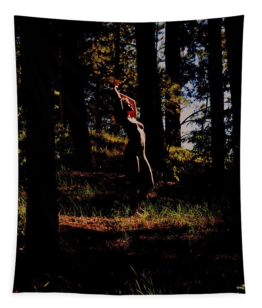 Girl Tapestry featuring the photograph Devil's Eye by Robert WK Clark
