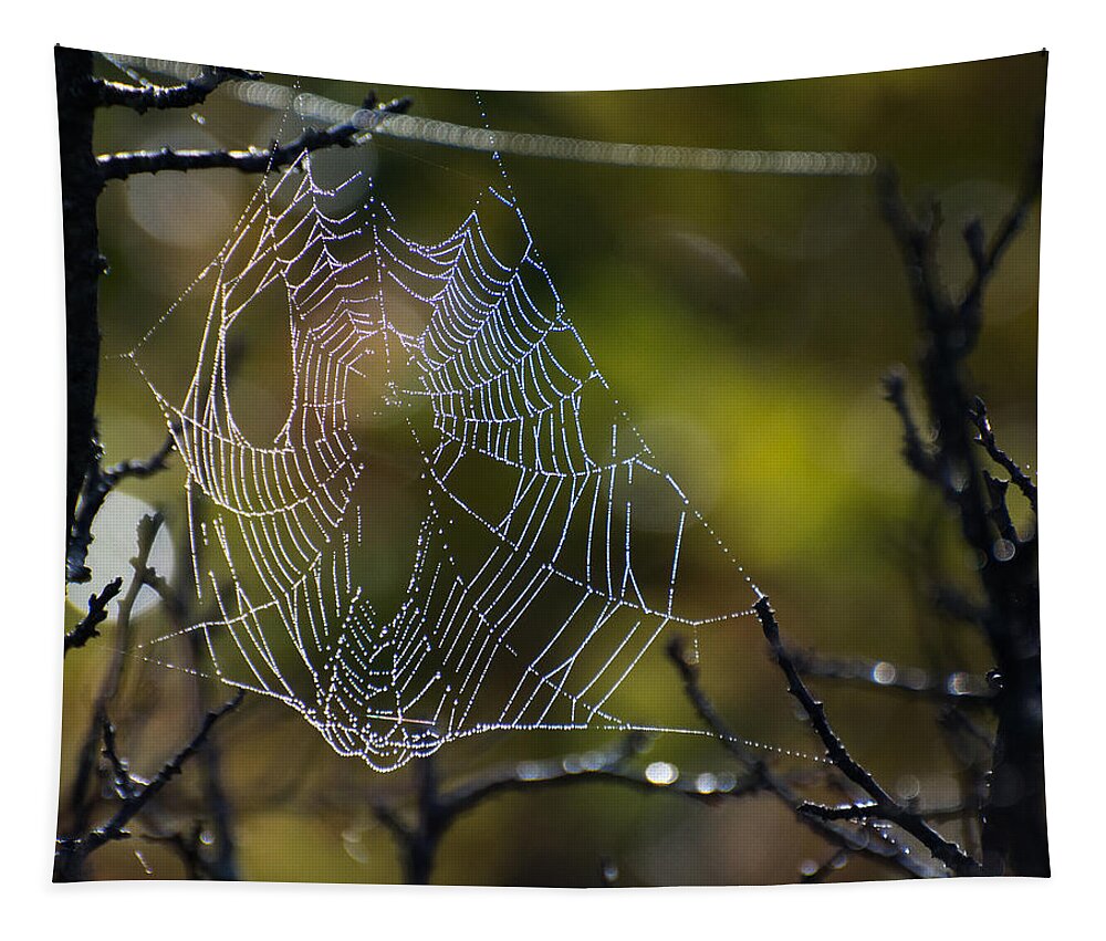 Spider Tapestry featuring the photograph Dew Drop In by Linda Bonaccorsi