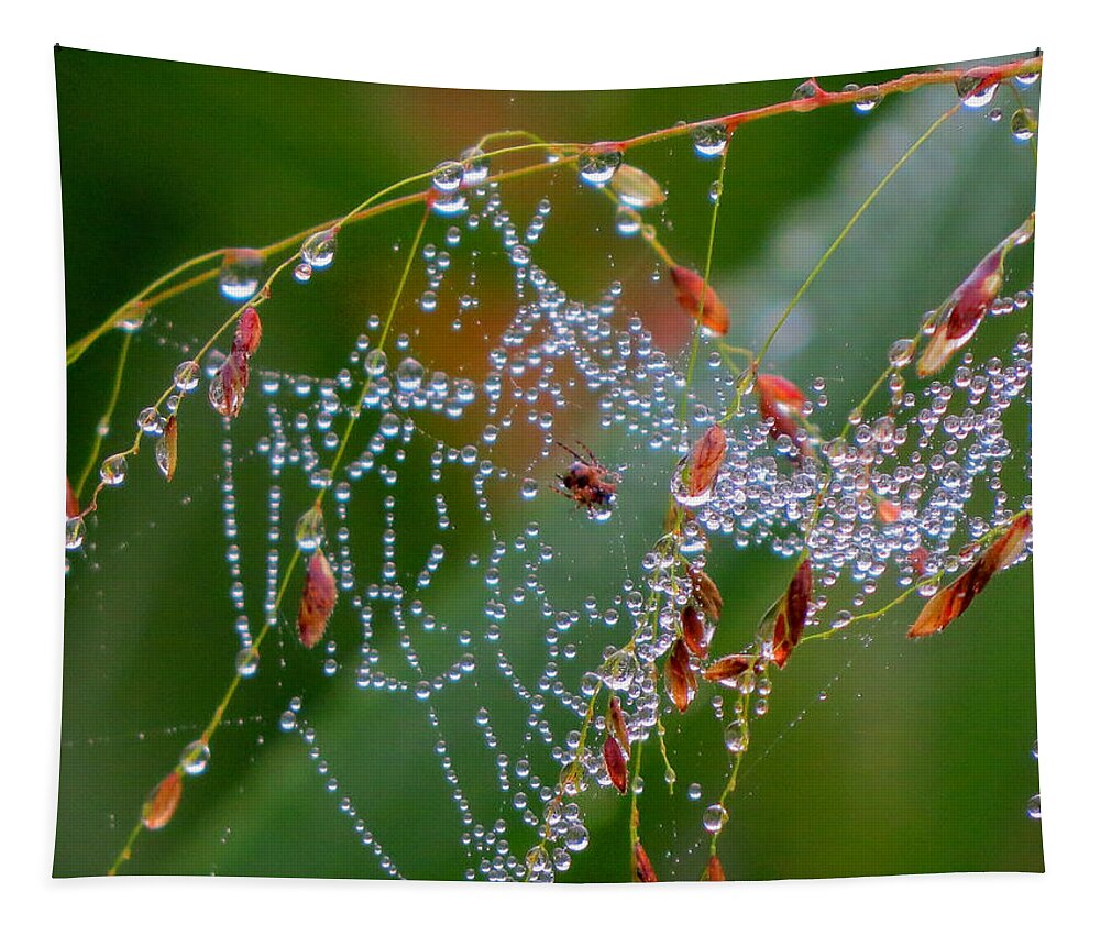 Morning Tapestry featuring the photograph Dewdrop Inn by Dianne Cowen Cape Cod Photography