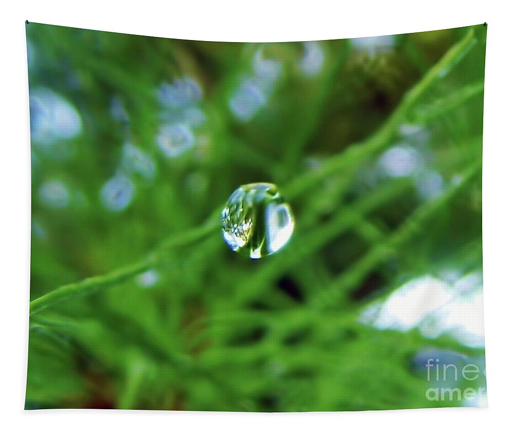 Pine Needle Tapestry featuring the photograph Dewdrop Reflection by D Hackett