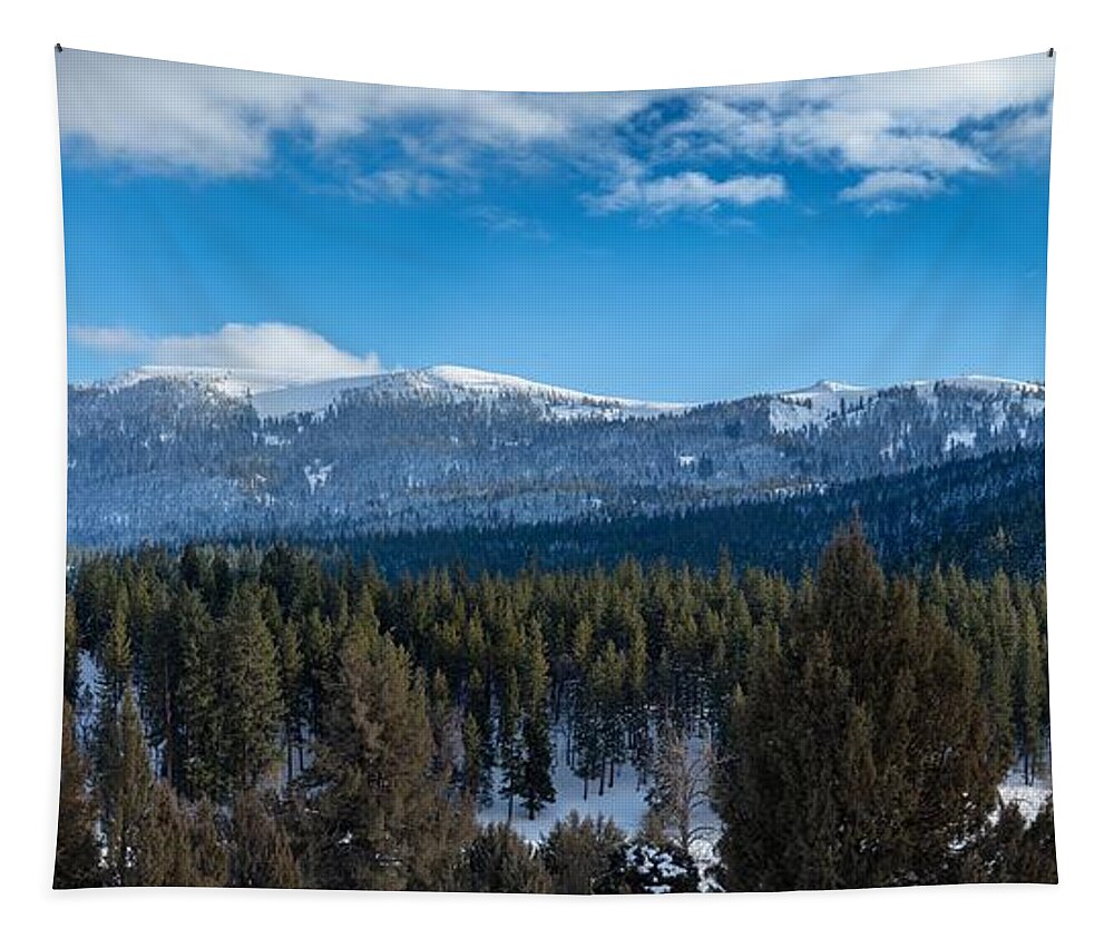 Susanville Tapestry featuring the photograph Diamond Mountain Panorama by Randy Robbins