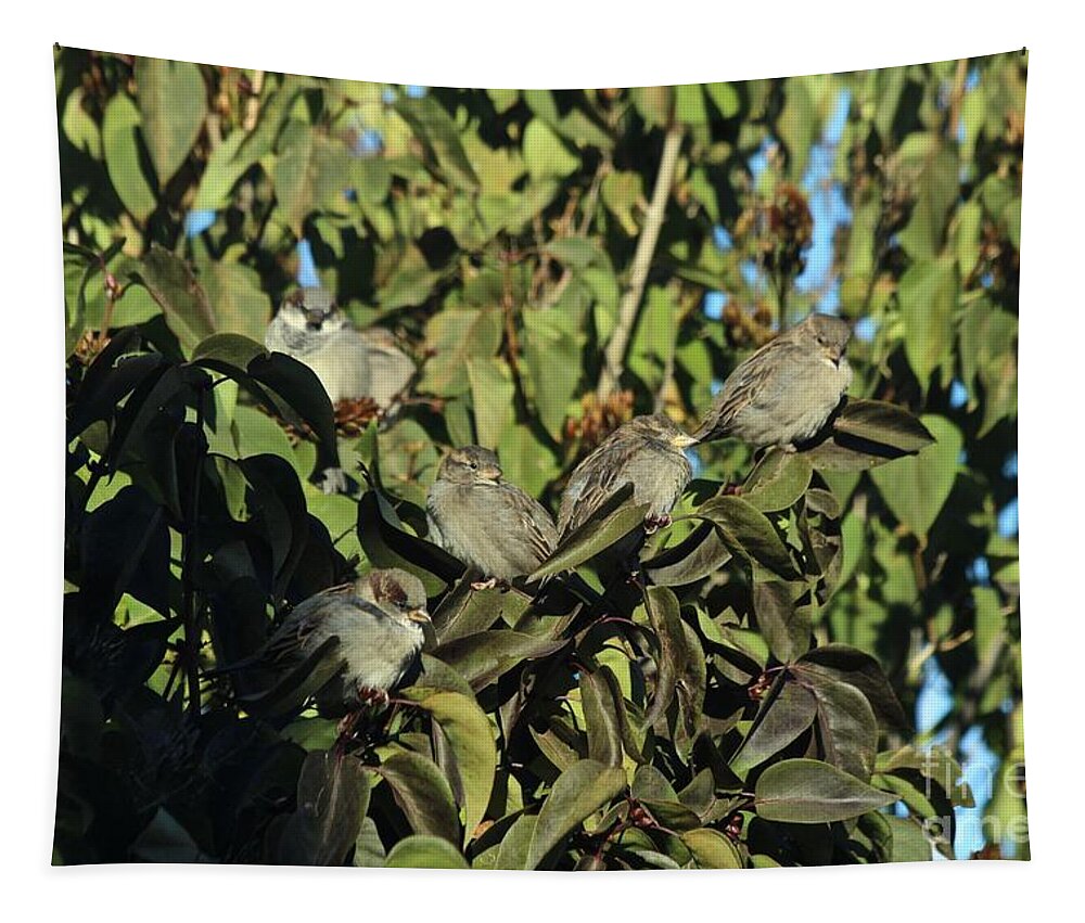House Sparrow Tapestry featuring the photograph Disguised by Ann E Robson