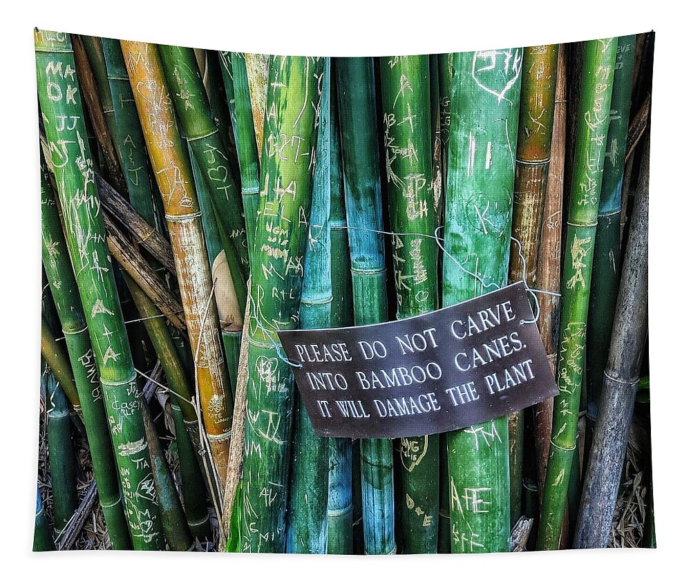 Bamboo Tapestry featuring the photograph Do Not Carve by Portia Olaughlin