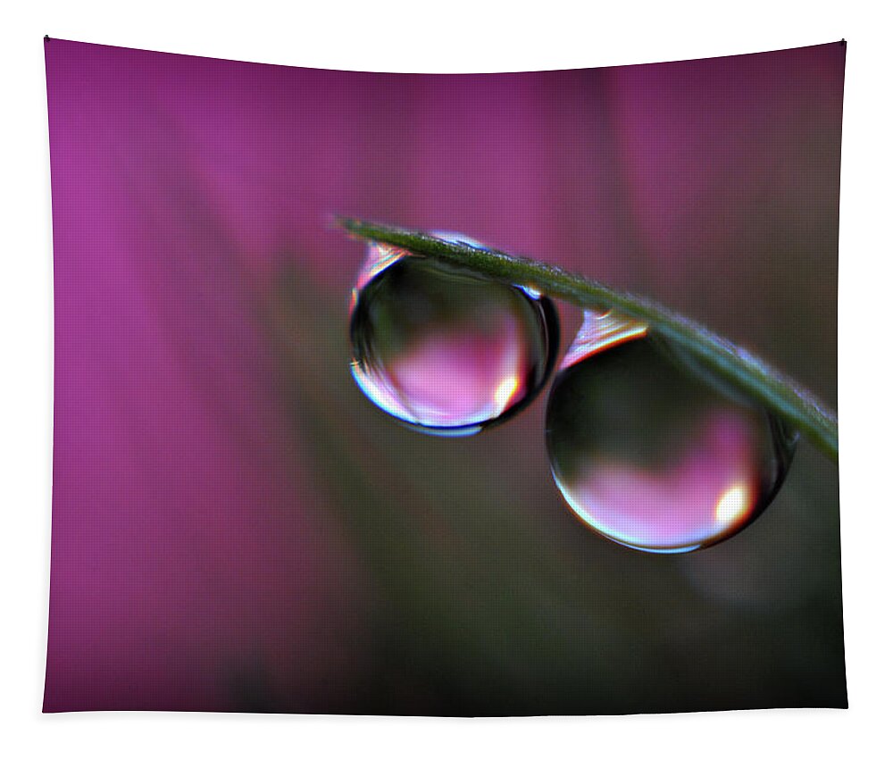 Water Drops Tapestry featuring the photograph Double Trouble by Michelle Wermuth