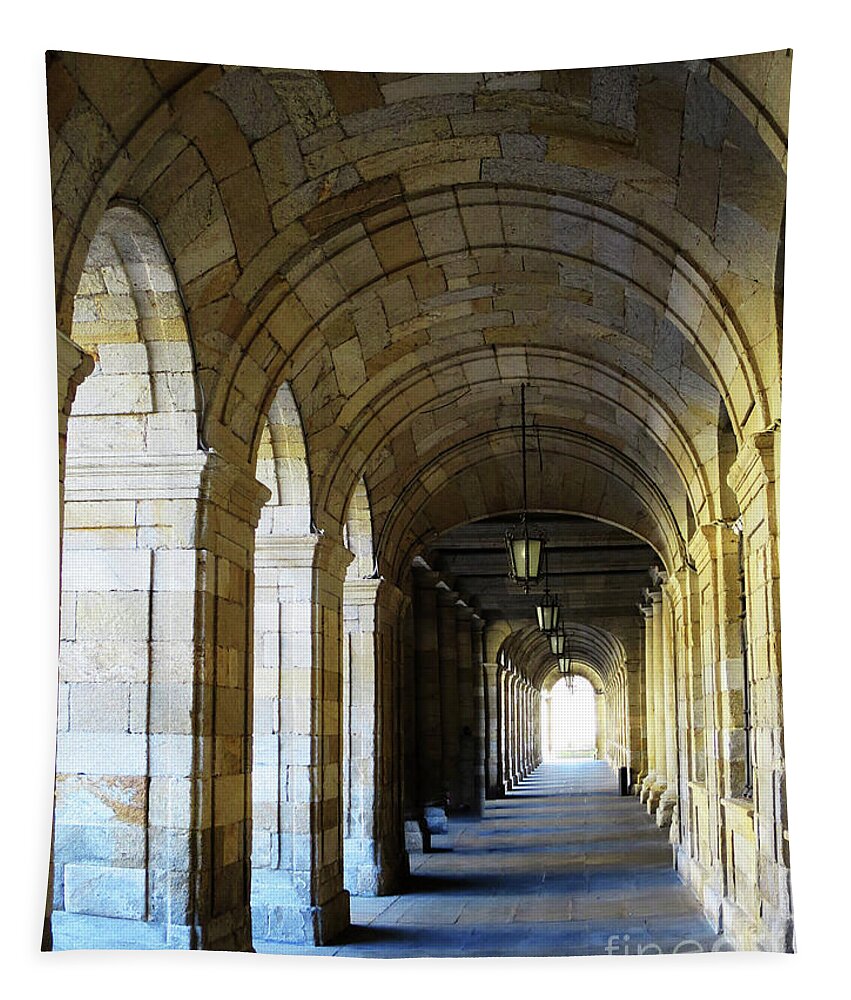 Columns Tapestry featuring the photograph Drawn to the Light by Rick Locke - Out of the Corner of My Eye