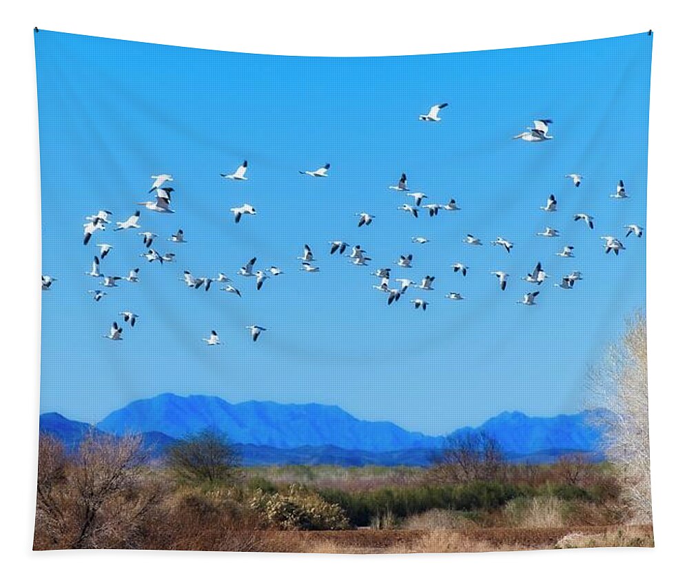 Landscape Tapestry featuring the photograph Dream Geese by Allan Van Gasbeck
