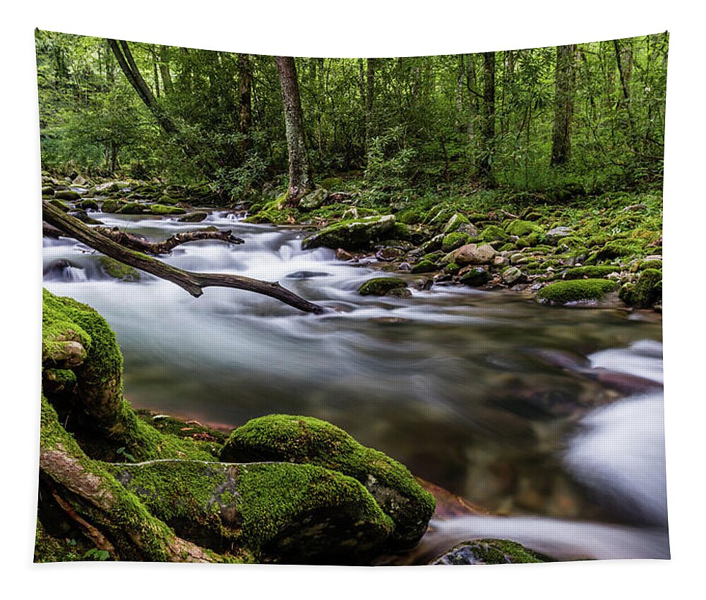 Landscape Tapestry featuring the photograph Dream Stream by Gary Migues