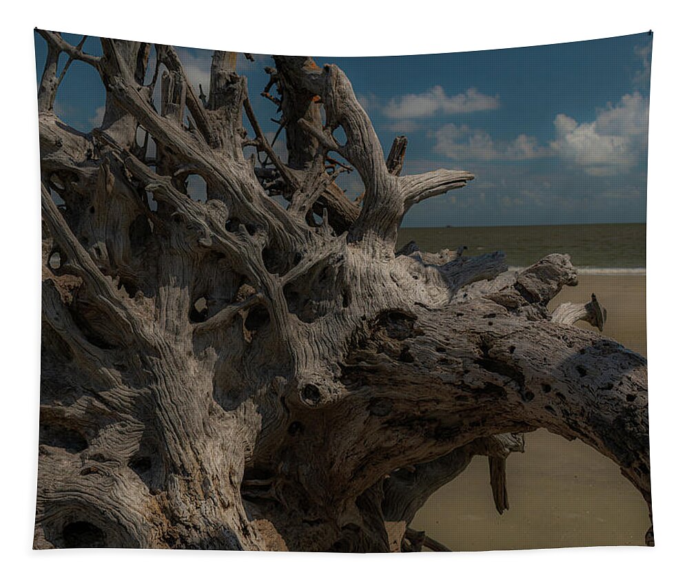 Driftwood Tapestry featuring the photograph Driftwood Sculpture by Vicky Edgerly