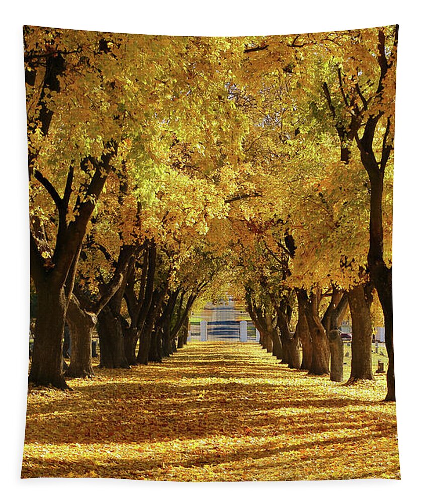 Alley; Autumn; Avenue; Canapy; Cemetary; Fall; Gate; Line; Richmond; Road; Rows; Trees; Tunnel; Tapestry featuring the photograph Dropping Like Leaves by David Andersen