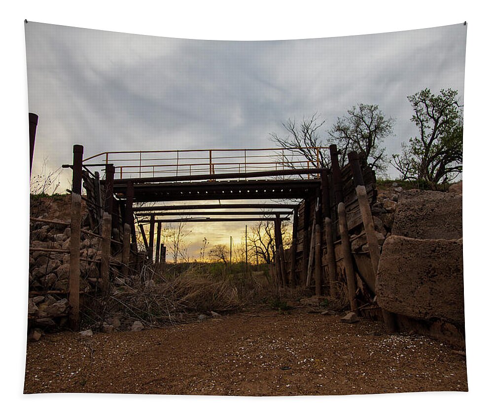 Landscape Tapestry featuring the photograph Drought Vulnerability by Toni Hopper