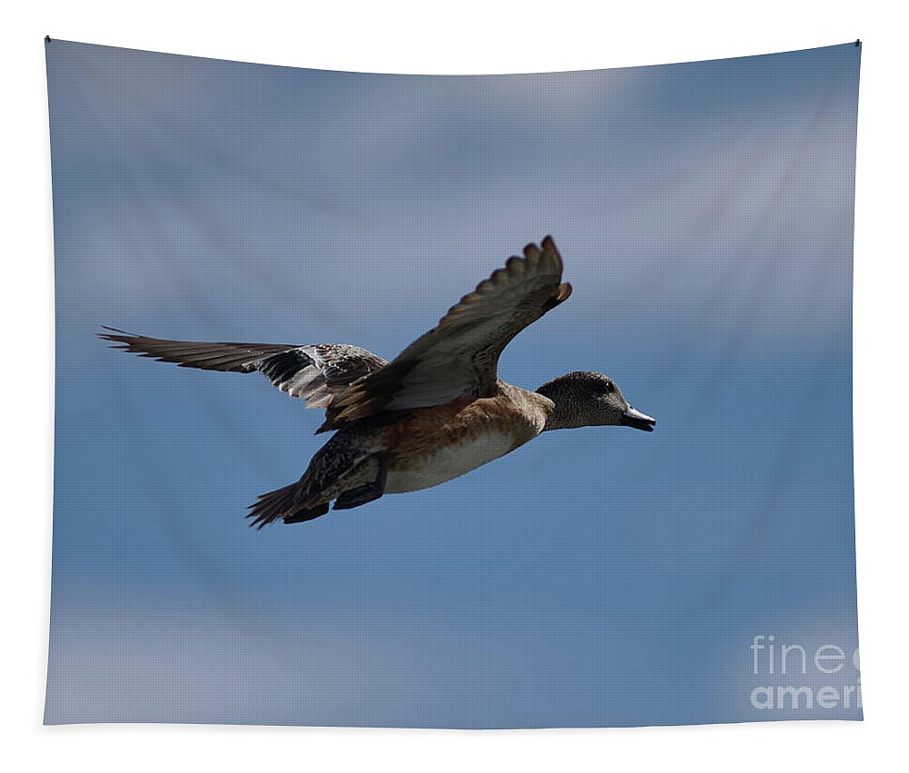 Ducks Tapestry featuring the photograph Duck Blue Sky by Robert WK Clark